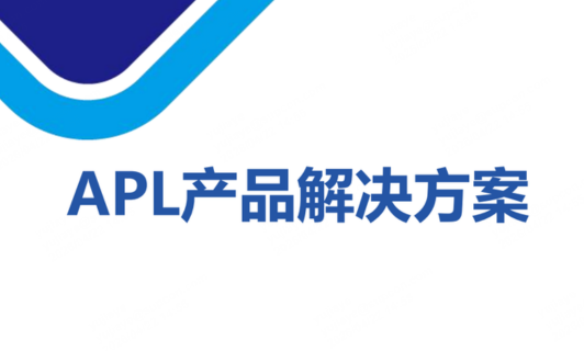 APL节造系统